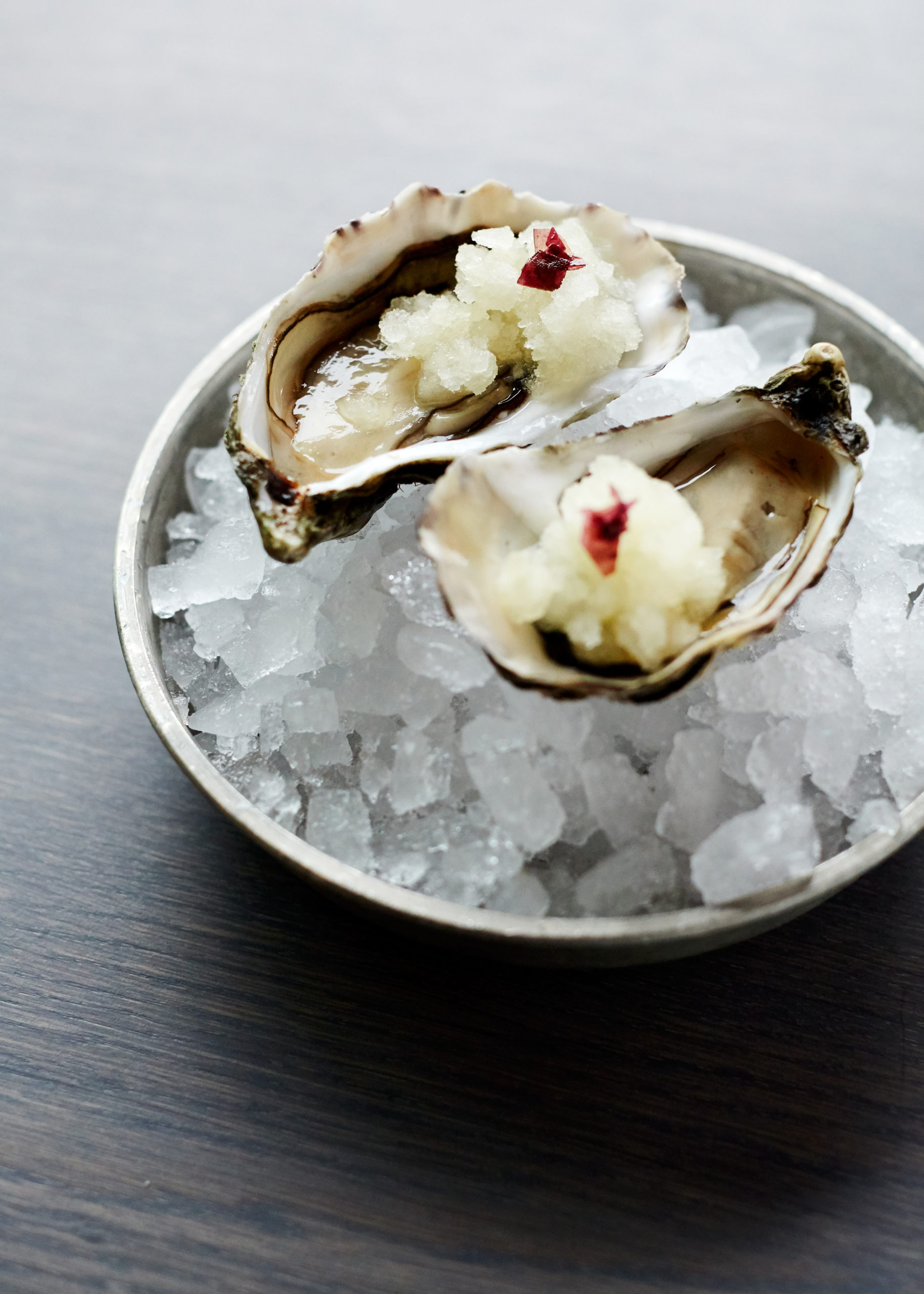 WB_SO_Oyster_Allegra